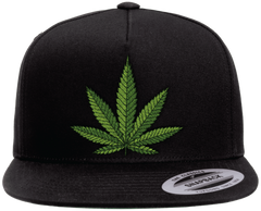Sweet Leaf Snapback
