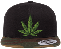 Sweet Leaf Snapback